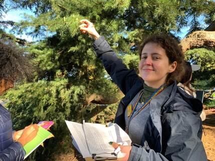 NATURE JOURNALLING 14