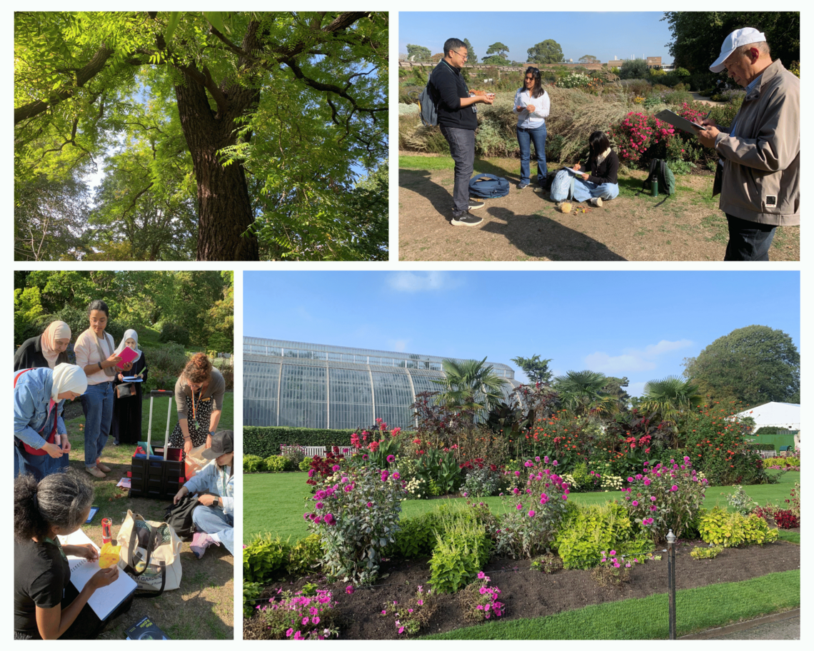 Kew 26 4