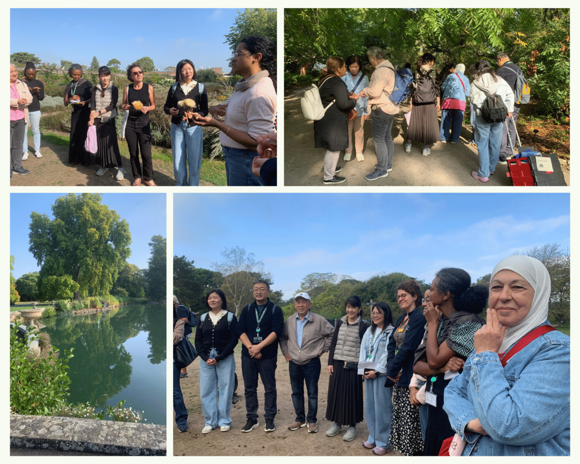 Kew Collage 2